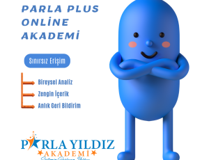 6-8 Kişilik VIP Sınıfları